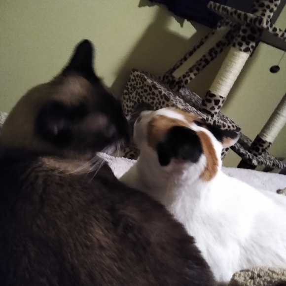 Meet your Posher, Darlene - Picture 14 of 16